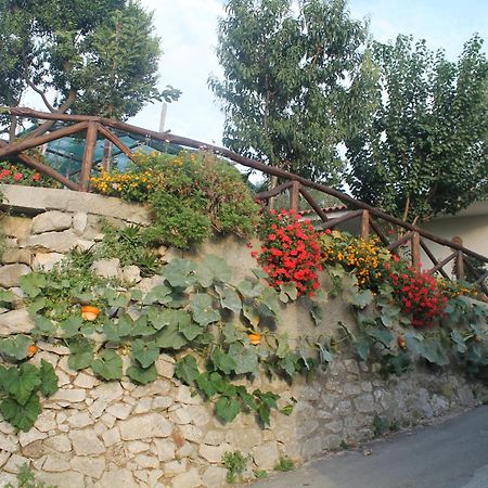 Casa Vacanze Chery 索伦托 外观 照片