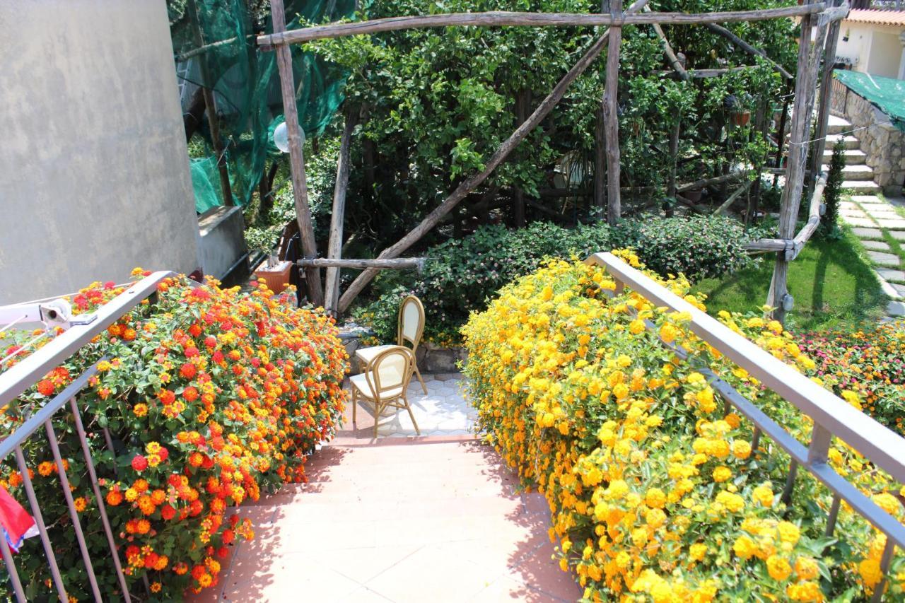 Casa Vacanze Chery 索伦托 外观 照片