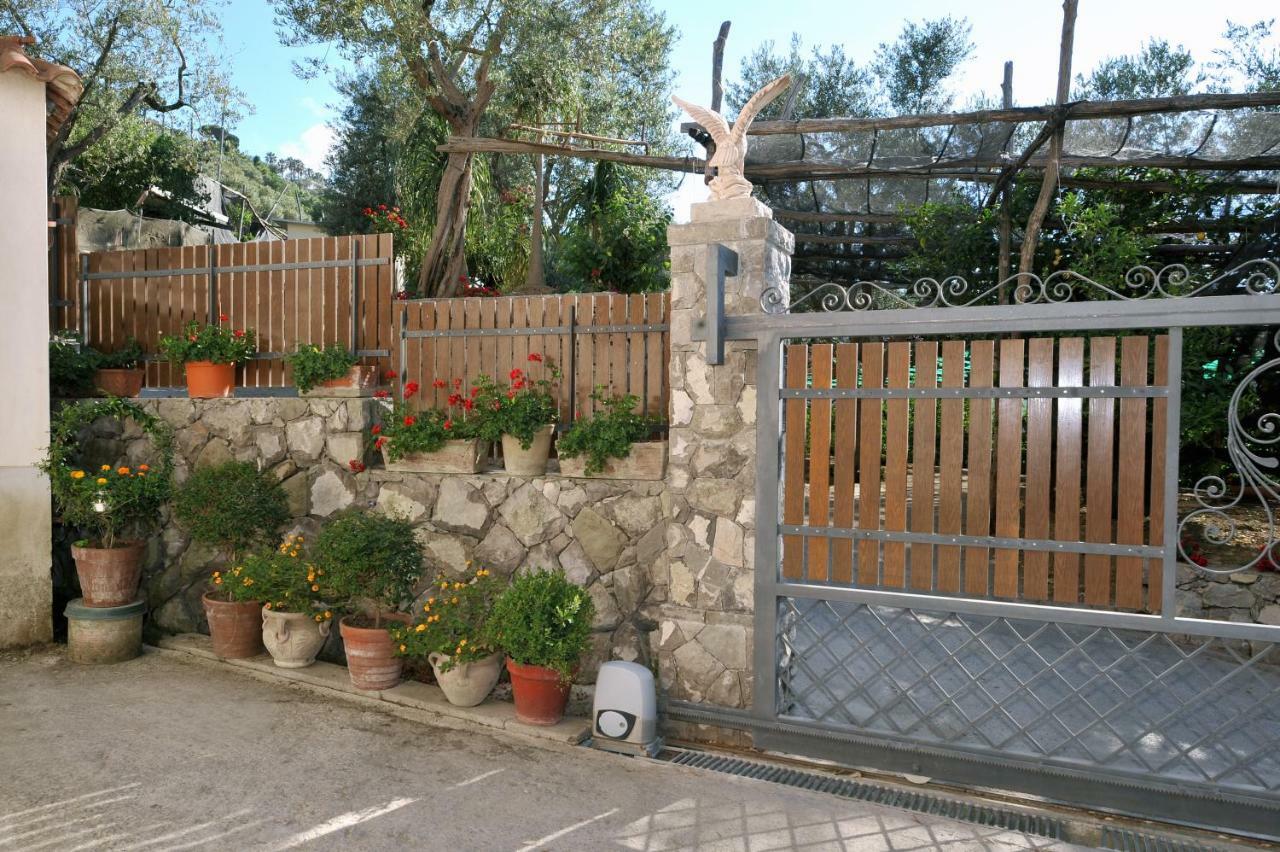 Casa Vacanze Chery 索伦托 外观 照片